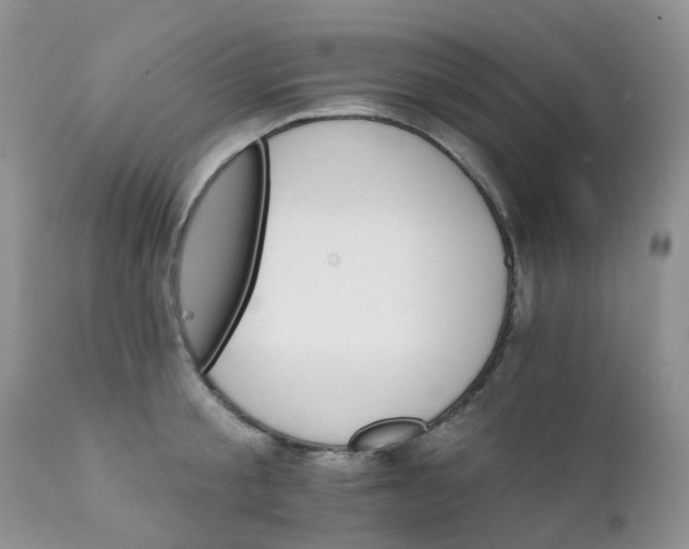 X0000111930805200908241114