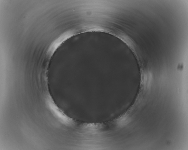 X0000111930806200908241114