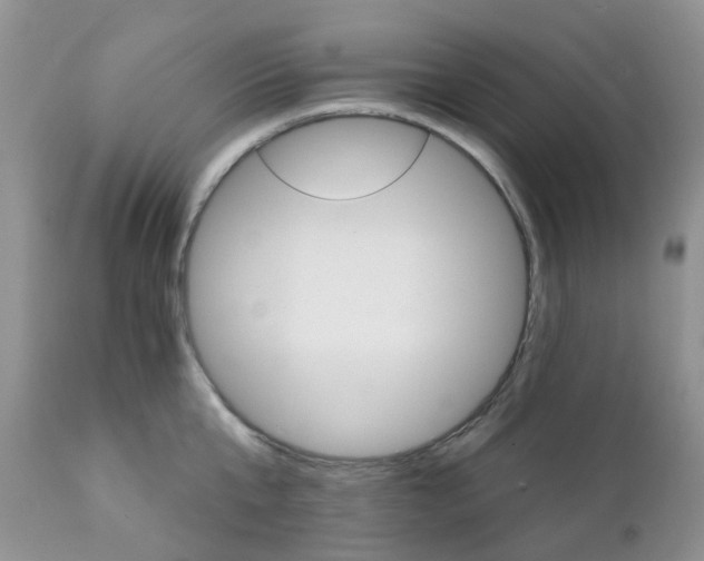 X0000111930807200908241114