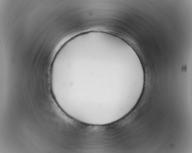 X0000111930808200908241114