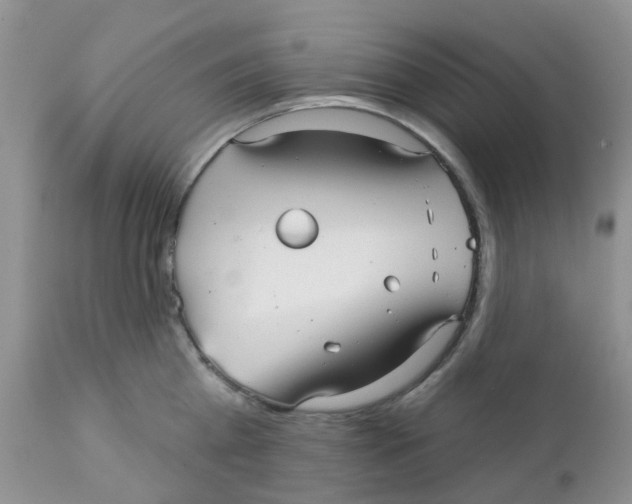 X0000111930809200908241114