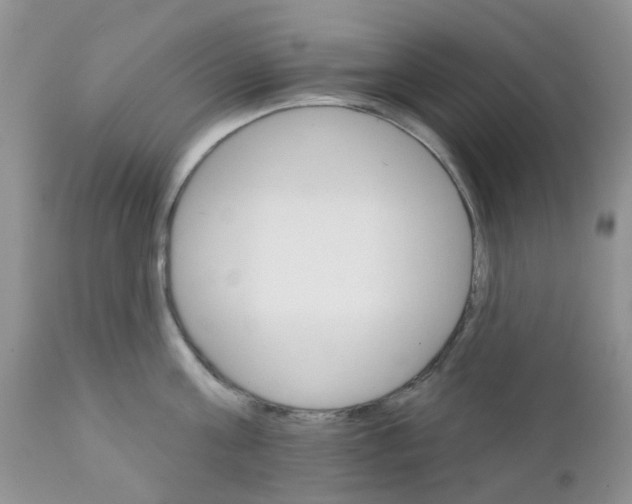 X0000111930811200908241114