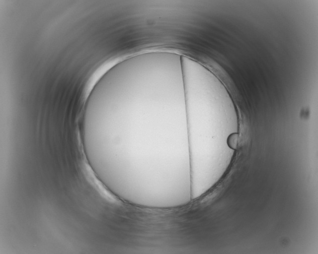 X0000111930812200908241114