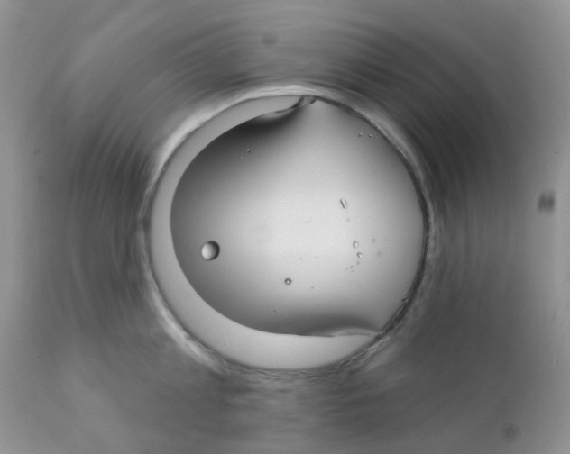 X0000111930813200908241114