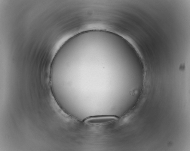 X0000111930815200908241114