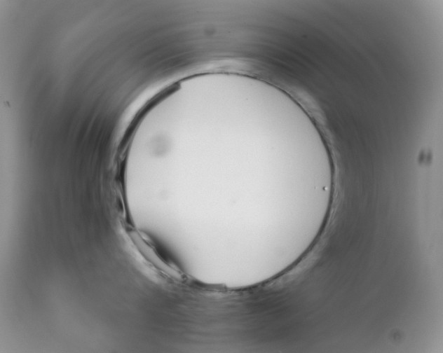 X0000111930816200908241114