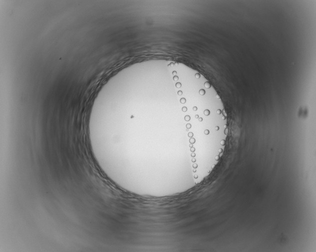 X0000111930818200908241113