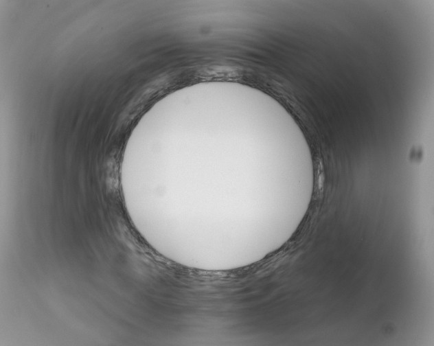 X0000111930819200908241113