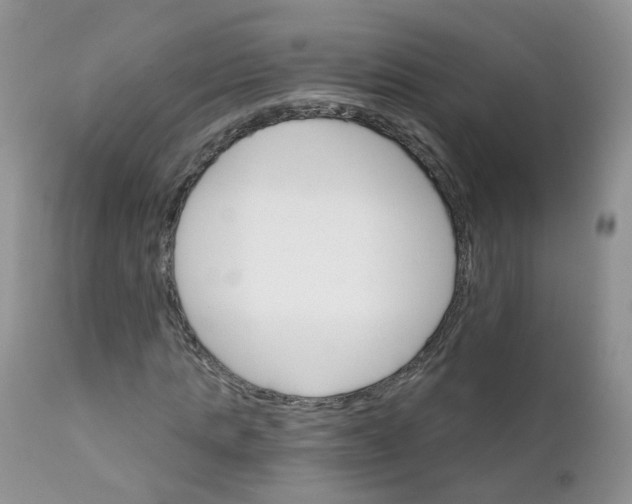 X0000111930821200908241113