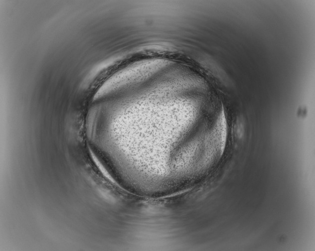 X0000111930822200908241113