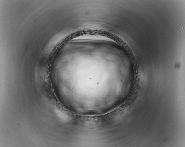 X0000111930823200908241113