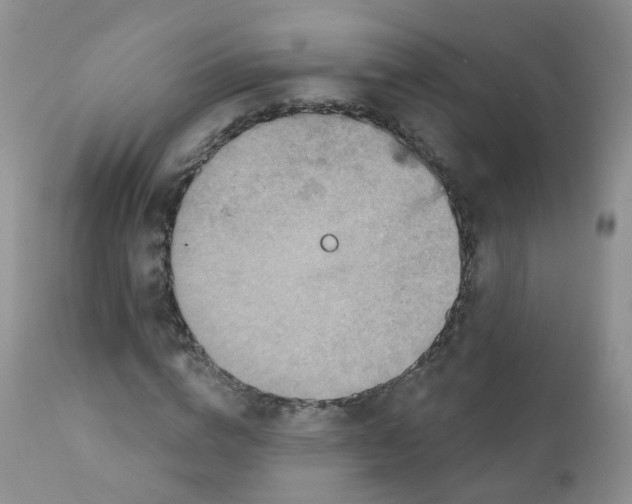 X0000111930824200908241113