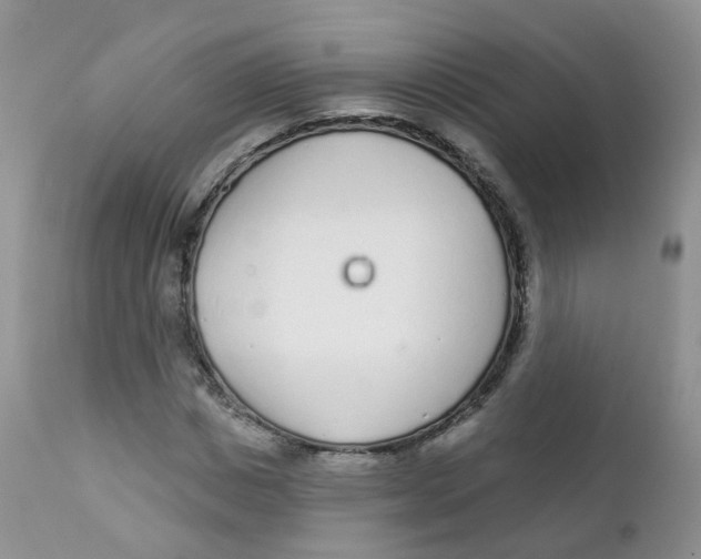 X0000111930825200908241113