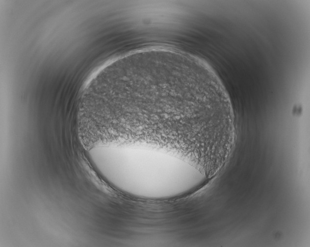 X0000111930827200908241113