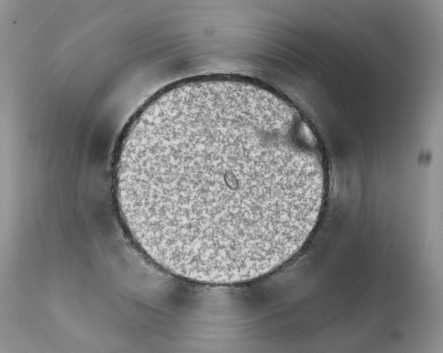 X0000111930828200908241113