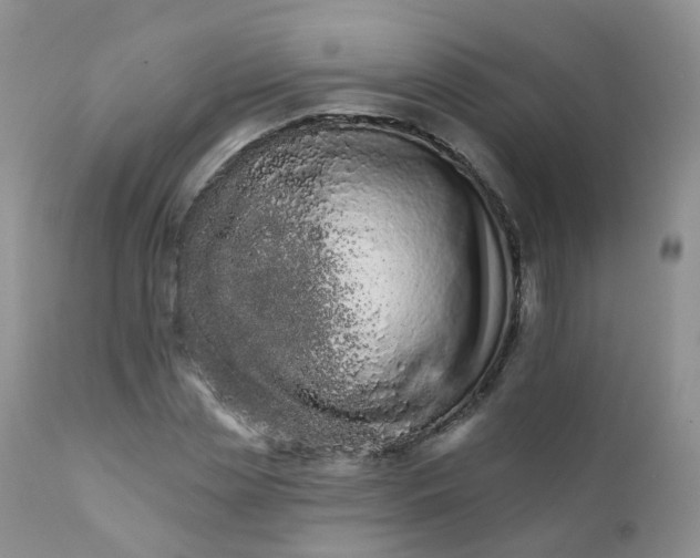 X0000111930829200908241113