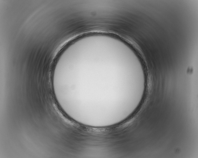 X0000111930831200908241113