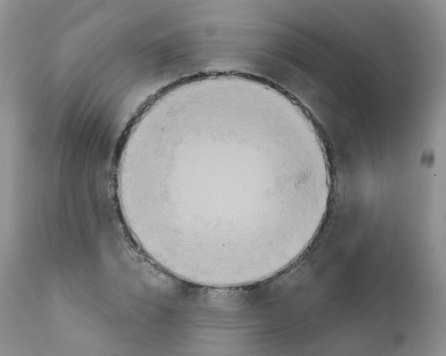 X0000111930832200908241113