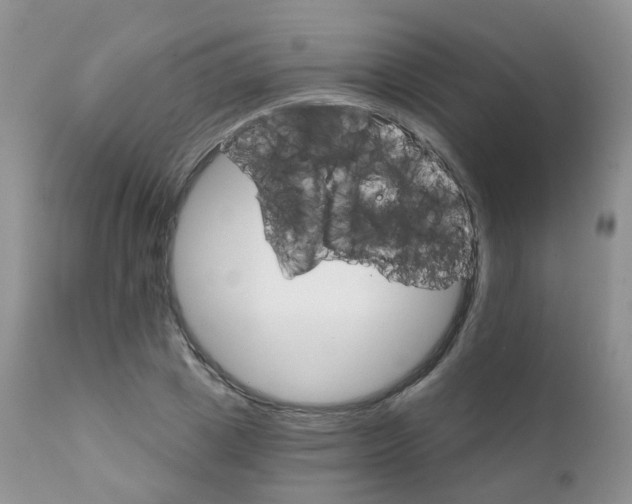 X0000111930833200908241113