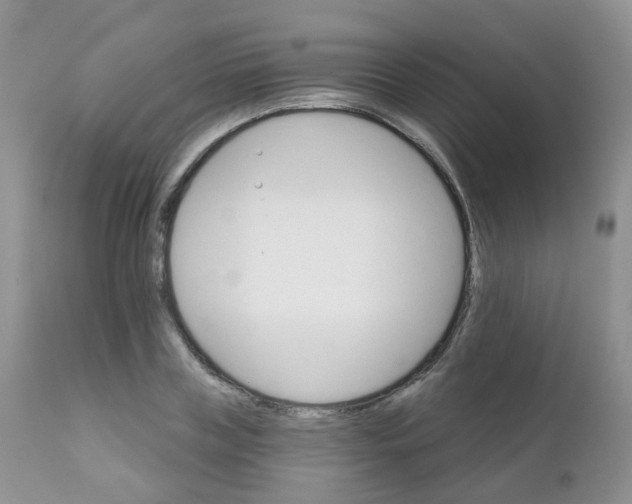 X0000111930835200908241113