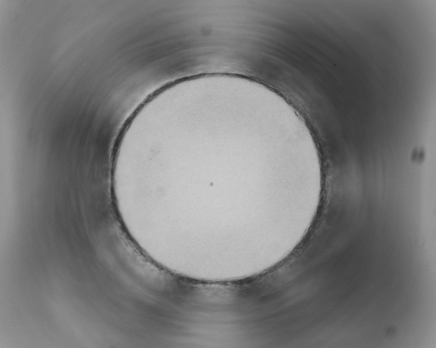 X0000111930836200908241113