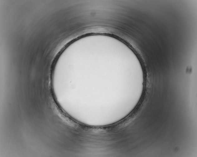 X0000111930837200908241113