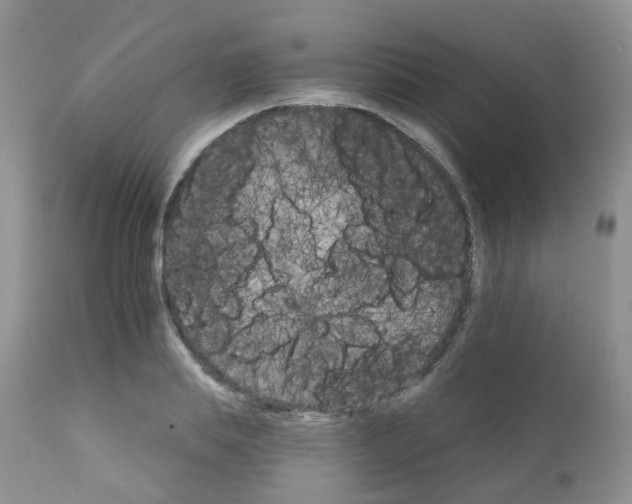 X0000111930839200908241113