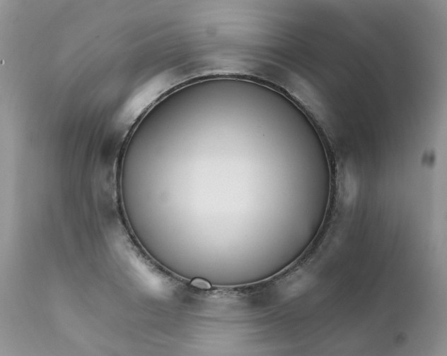 X0000111930842200908241114