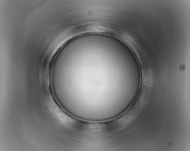 X0000111930843200908241114