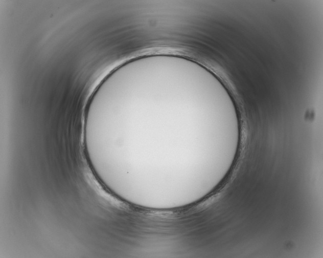 X0000111930844200908241114