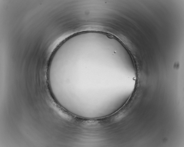 X0000111930846200908241114