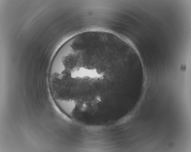 X0000111930847200908241114