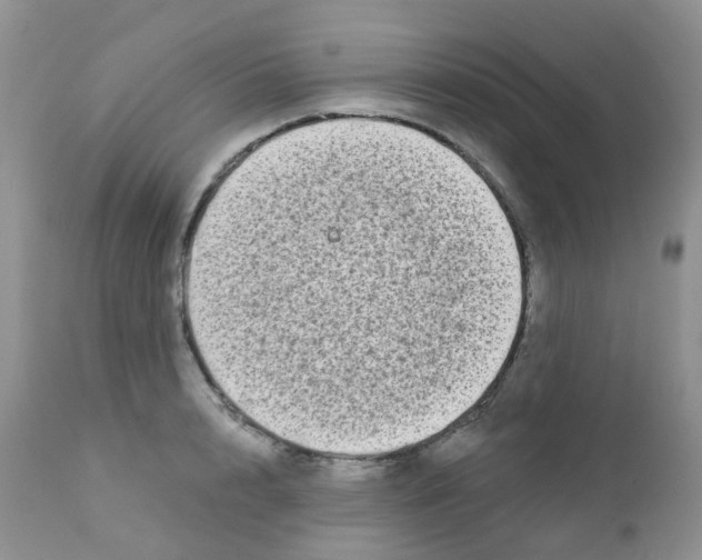 X0000111930848200908241114