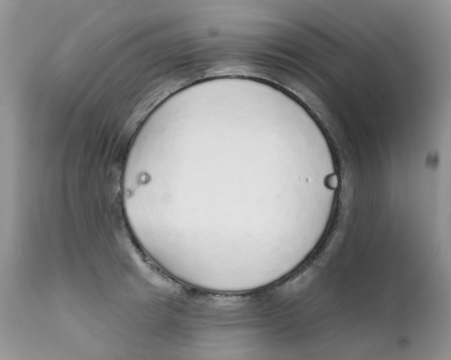 X0000111930849200908241114