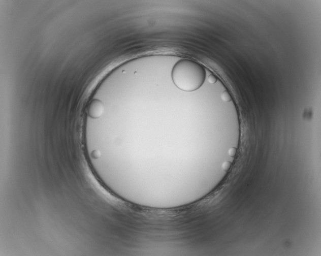 X0000111930851200908241114