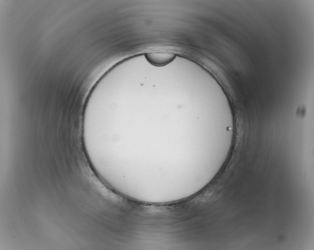 X0000111930852200908241114