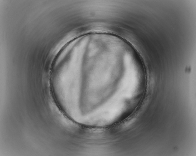 X0000111930853200908241114