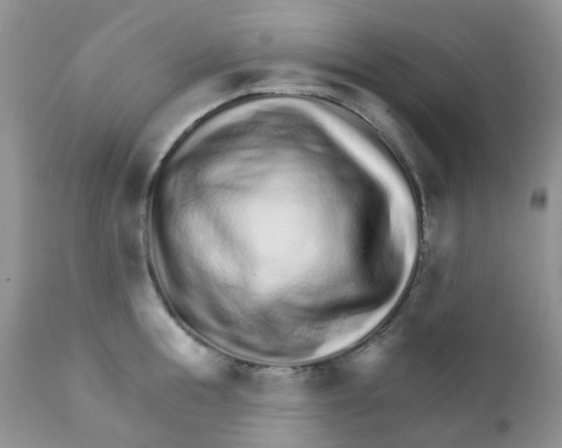 X0000111930855200908241114