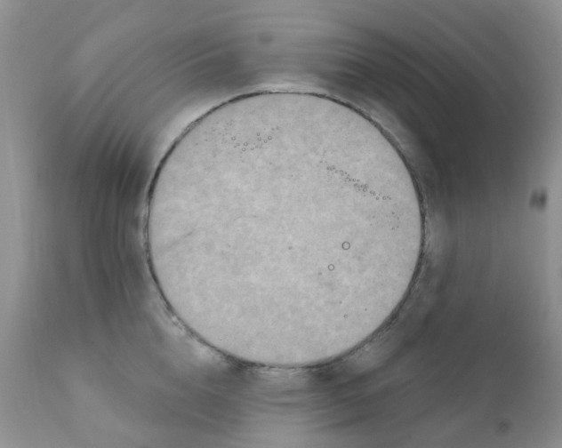 X0000111930856200908241114