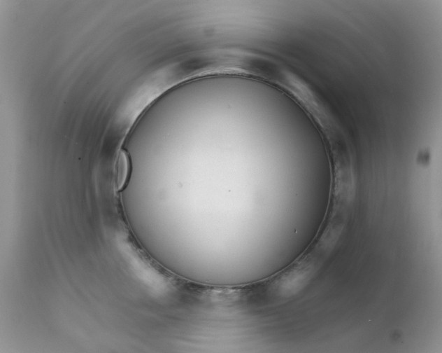 X0000111930858200908241114