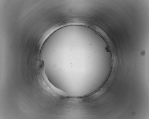 X0000111930860200908241114