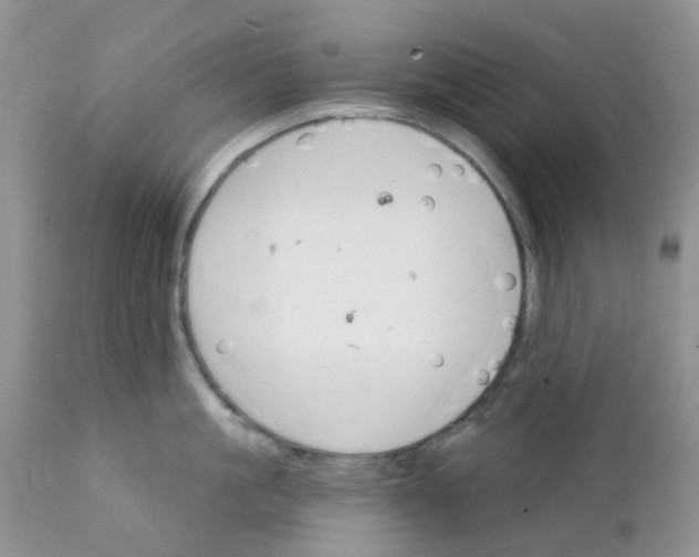 X0000111930861200908241114