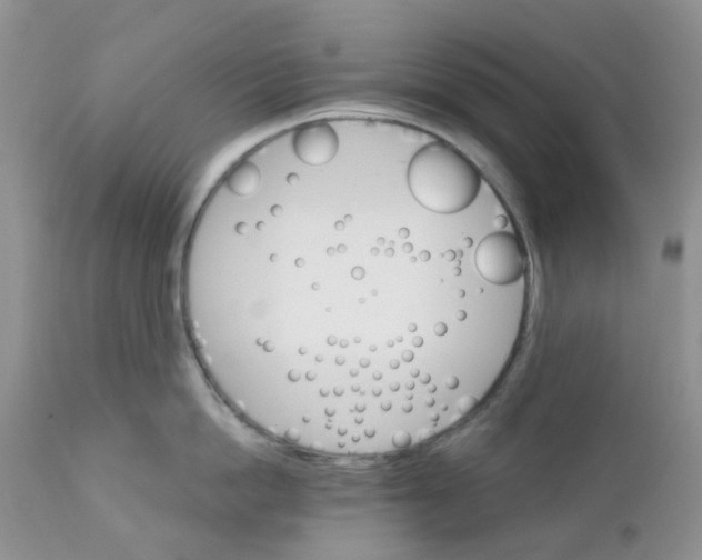 X0000111930862200908241114