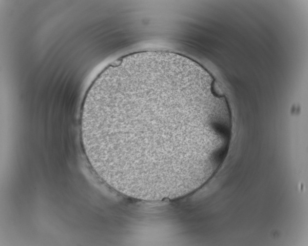 X0000111930864200908241114