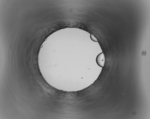 X0000111930865200908241113