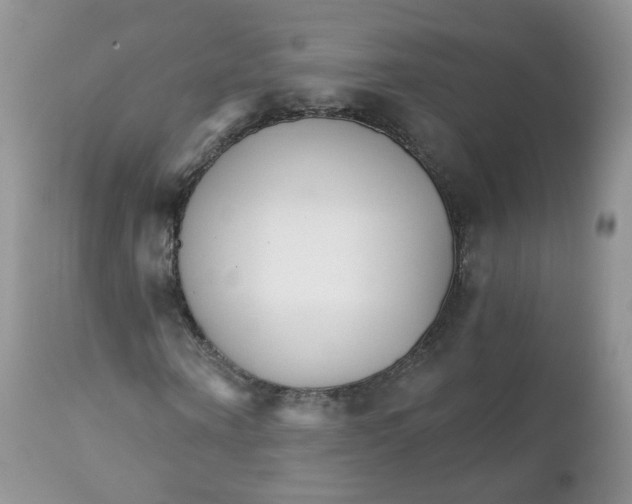 X0000111930866200908241113