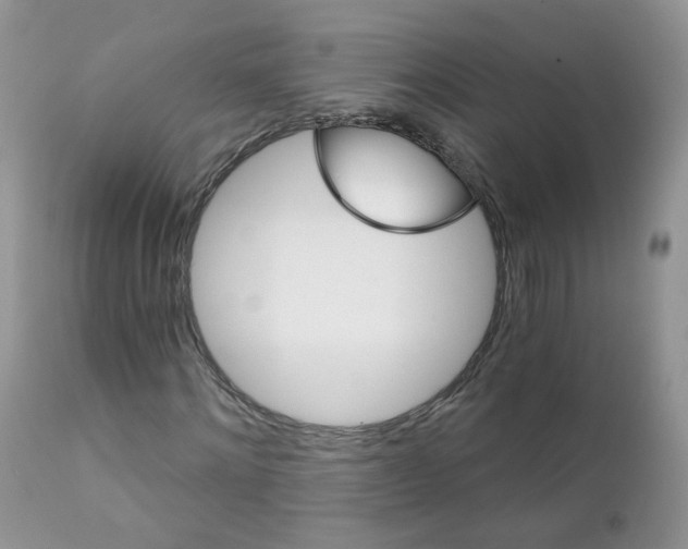 X0000111930868200908241113