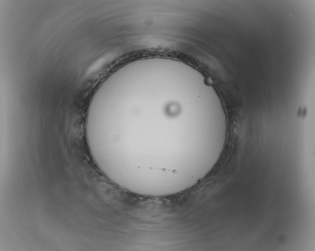 X0000111930869200908241113