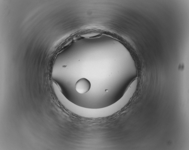 X0000111930872200908241113