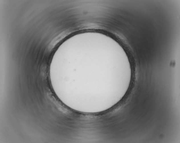 X0000111930873200908241113